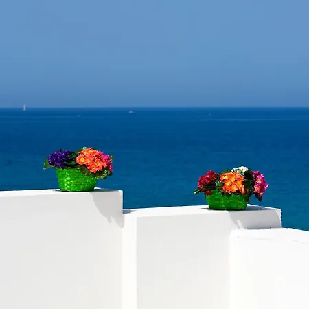 Vittoria Trapani