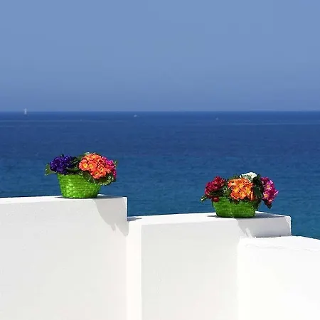 Vittoria Trapani